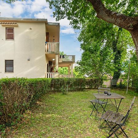 Apartment Vladimir 科托尔 外观 照片
